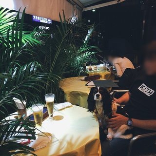 0.jpg