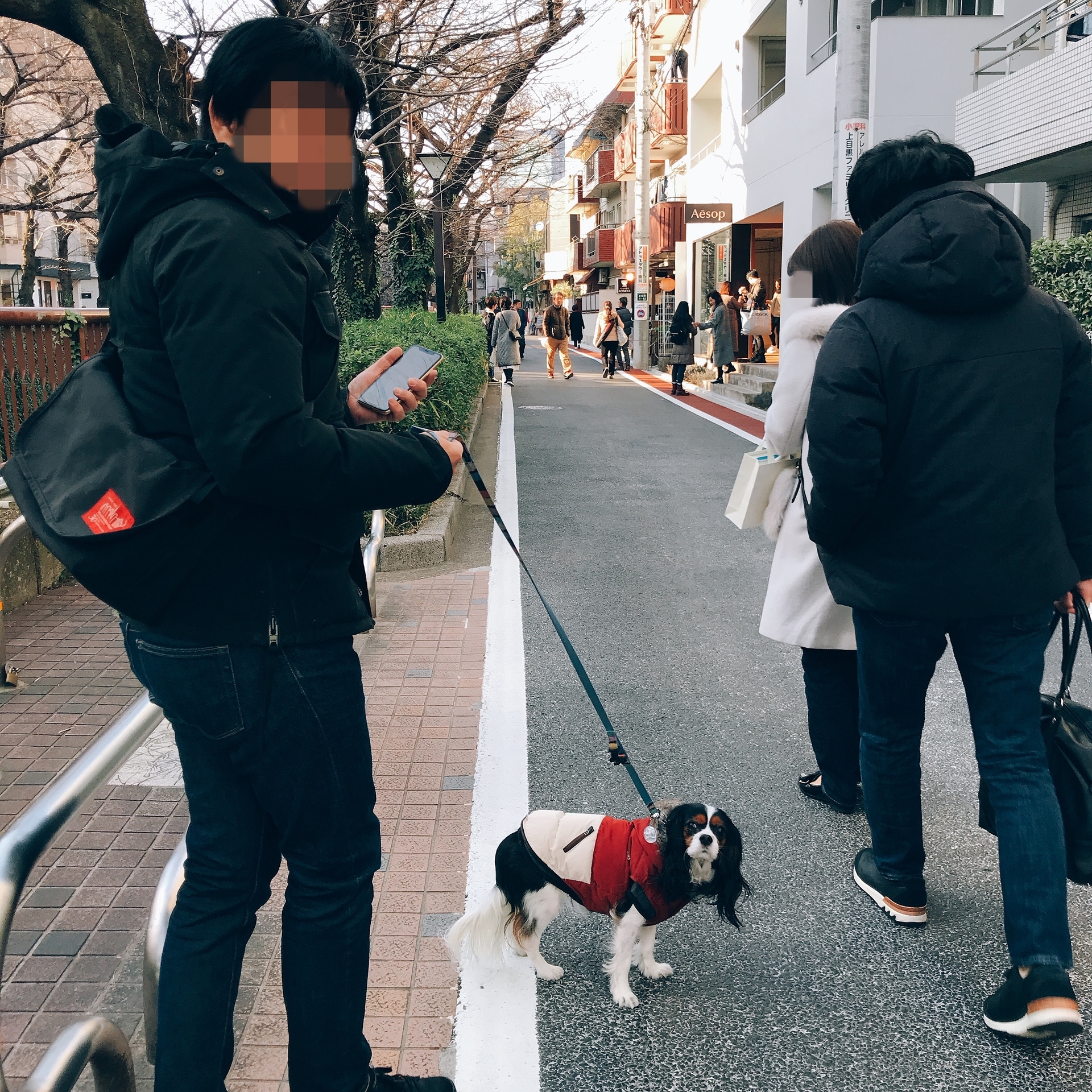 中目黒の屋内ドッグラン 見学 たたかう こいぬ