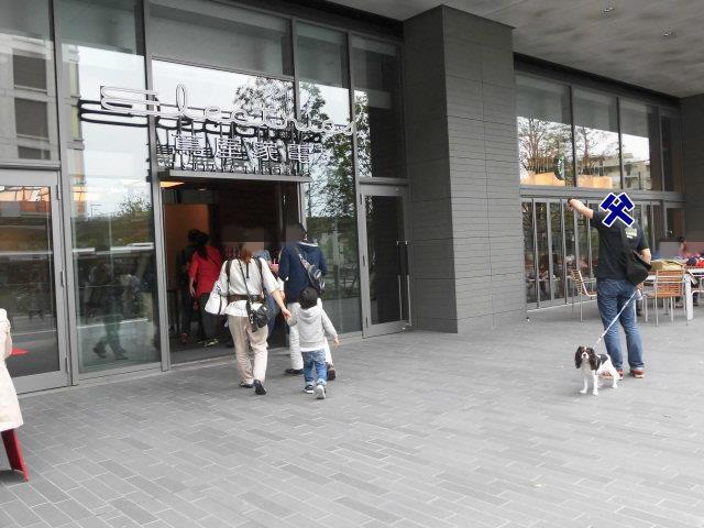 犬連れだって美味しいカレーが食べたい たたかう こいぬ