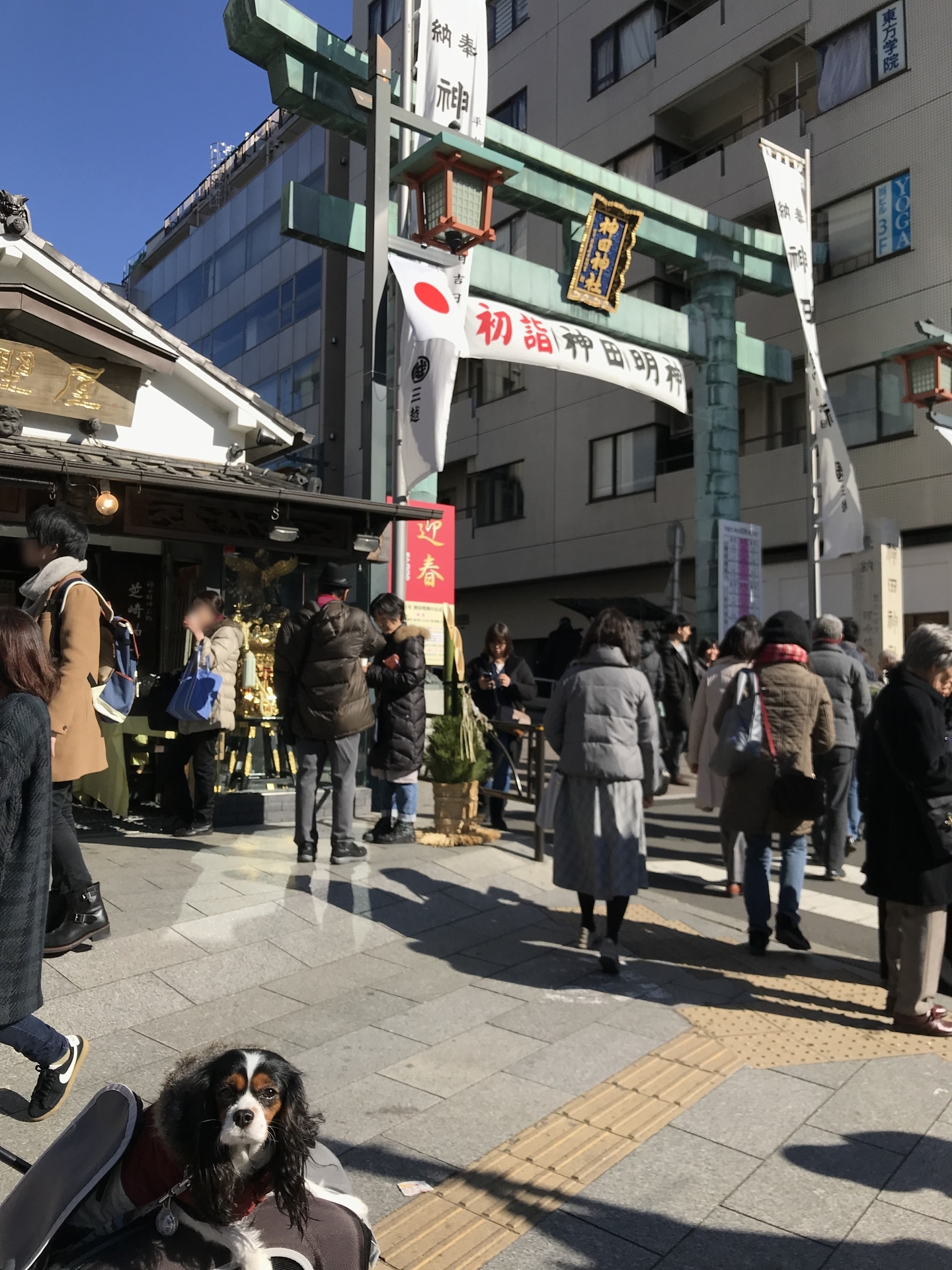 神田明神で可愛いワンコお守り発見 たたかう こいぬ