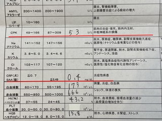 10-2.jpg