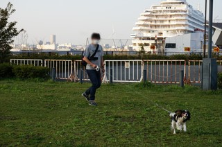 10.JPG