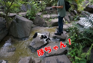 17.JPG