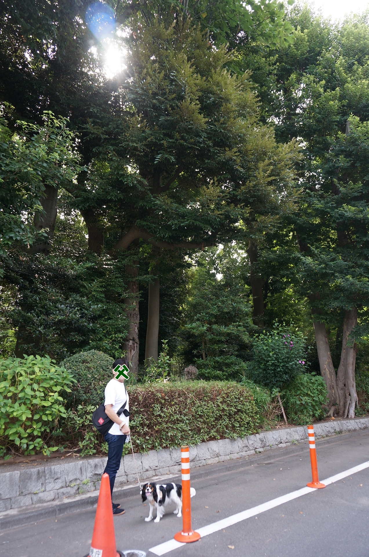 公園へ行こう すずめのお宿緑地公園 たたかう こいぬ