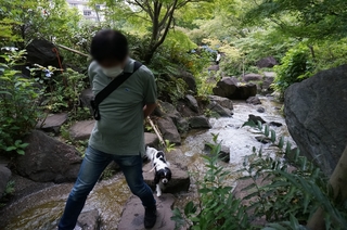 20.JPG