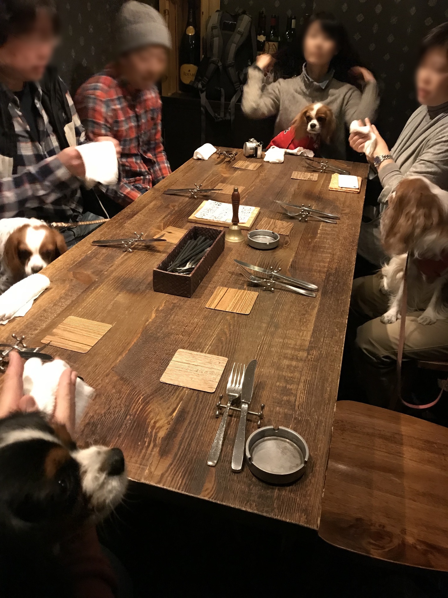 お誕生日会 中目黒グリル たたかう こいぬ