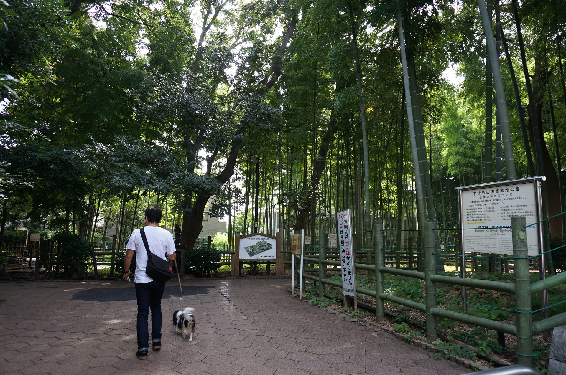 公園へ行こう すずめのお宿緑地公園 たたかう こいぬ