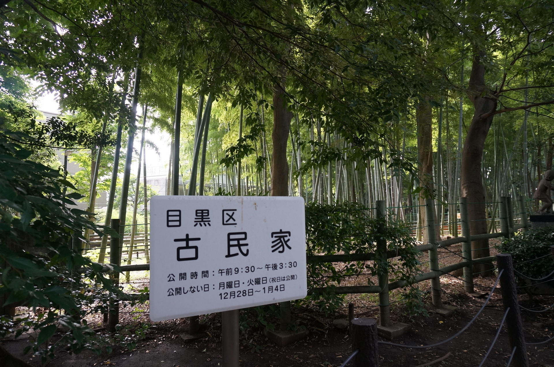 公園へ行こう すずめのお宿緑地公園 たたかう こいぬ