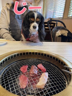 うしすけ本店.jpg