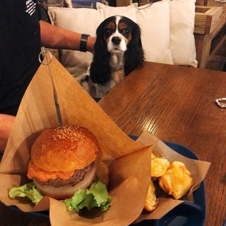 コーラとハンバーガー.jpg