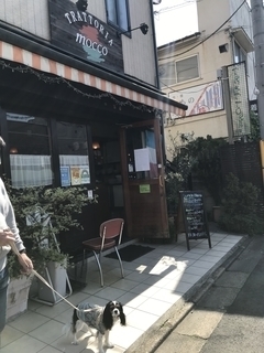 モッコ.jpg