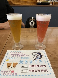 伊豆.jpg