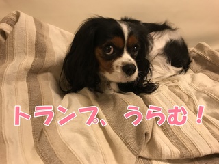 写真 2018-09-04 20 43 32.jpg
