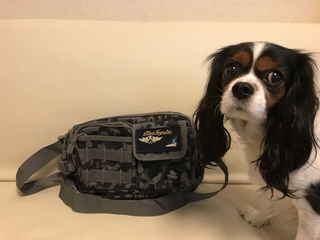 写真 2019-11-05 13 24 16.jpg