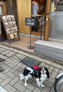 山本2.jpg