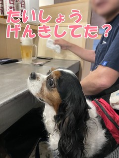 Q.jpg