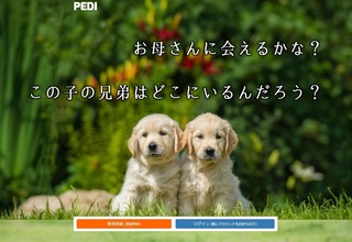 PEDI.jpg